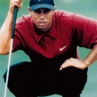 Tiger Woods - Eye of the Tiger